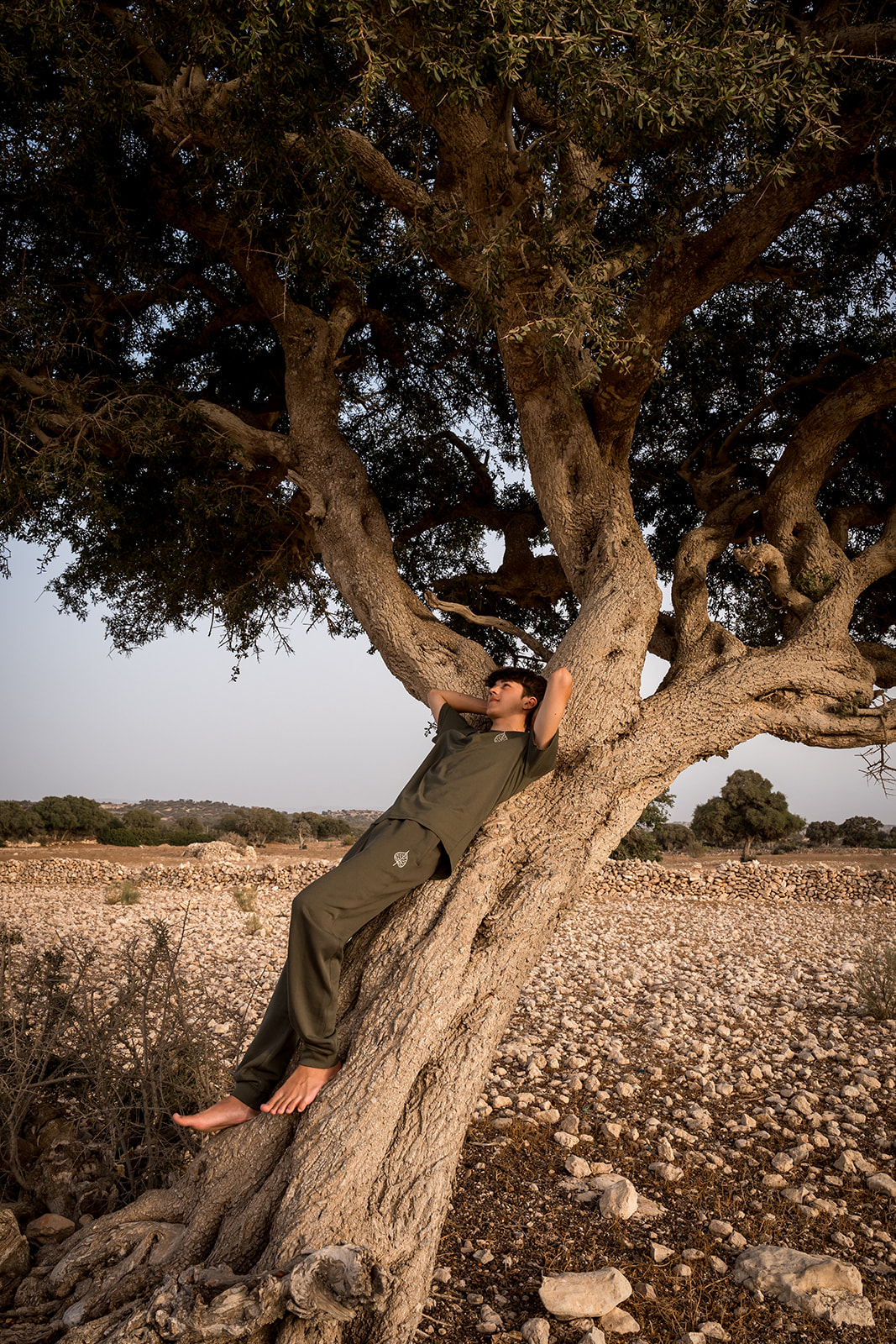 Discover the feeling of being Frey.